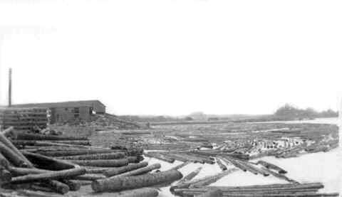 Lanigan and Bowser Mill Site