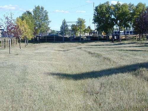 Wheel Ruts
