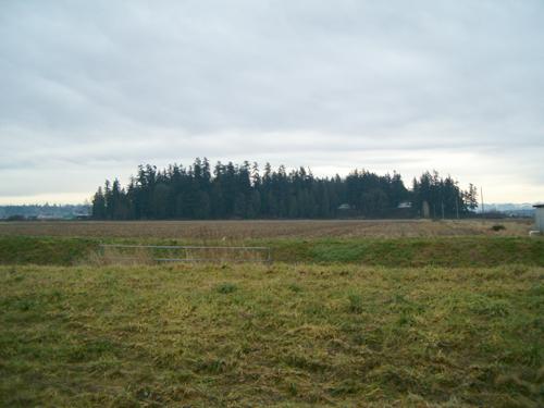 View from west