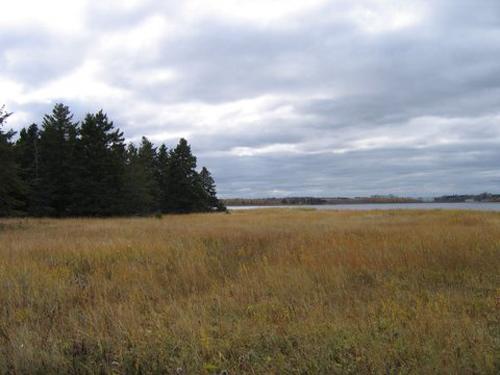 Daly Point Nature Reserve- 2005