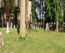 Overview of burying ground; Heritage Newmarket