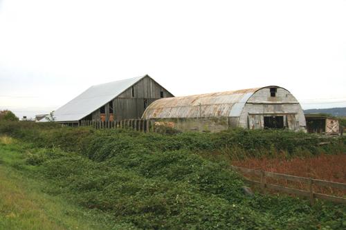 View from the west