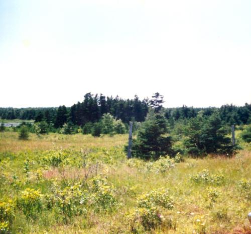 "The Green" in Tignish, PEI