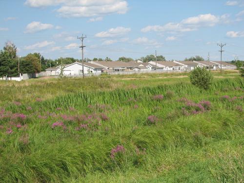 Site fondateur Darois-Breau
