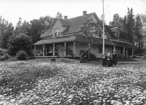 The Lewis Farm