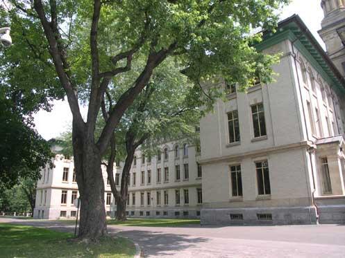 Vue latérale