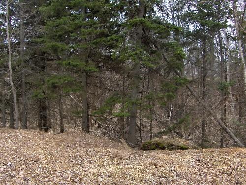 Wooldridge Quarry