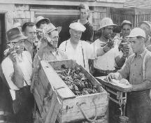 Usine de homard de l'Association des pêcheurs de Bas-Cap-Pelé - Groupe de pêcheurs de homard, vers 1950; Village of Cap-Pelé