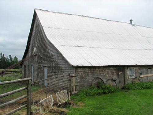 Ferme Miller, Dalhousie, 2006