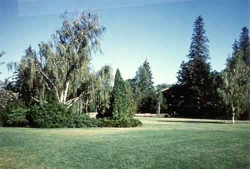General view