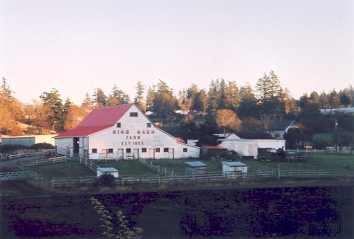 Oblique view.