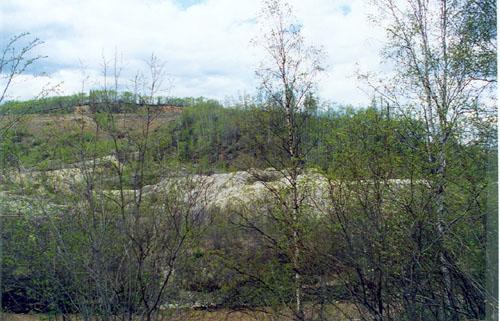 General view of the place