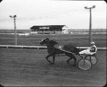 Brunswick Downs - Philias Belliveau avec son cheval Amazing Grace, 1980; City of Dieppe
