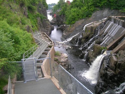 Salmon Fish Ladder