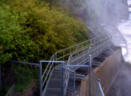 Salmon Fish Ladder