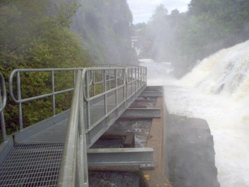 Salmon Fish Ladder