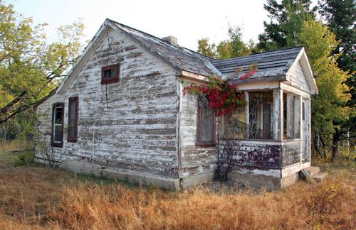 Primary Elevation