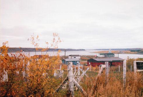 Vue générale
