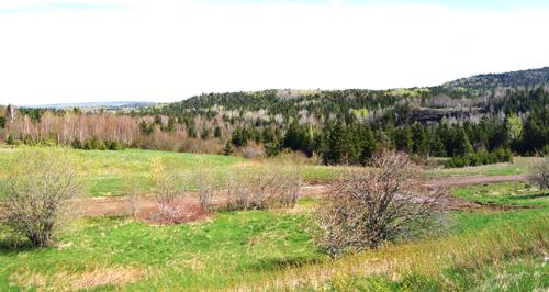 Site des mines Albert - 2008