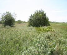 Contextual view of the St. Ambroise Dakota Entrenchment, St. Ambroise area, 2005, with the grasses in the foreground marking the location of the entrenchment.; Historic Resources Branch, Manitoba Culture, Heritage, Tourism and Sport, 2005