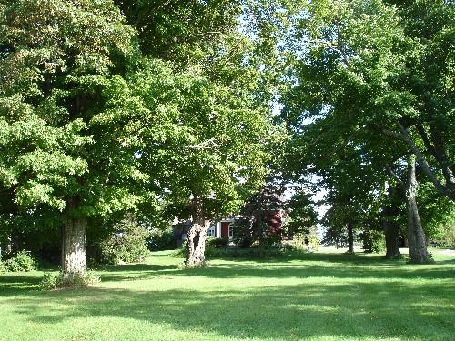 Davidson House