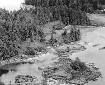 Vue du lieu historique national du Canada du Passage-Metlakatla, qui montre son couvert forestier de conifères à maturité, 1997.; Agence Parcs Canada / Parks Canada Agency, L. Dick, 1997.