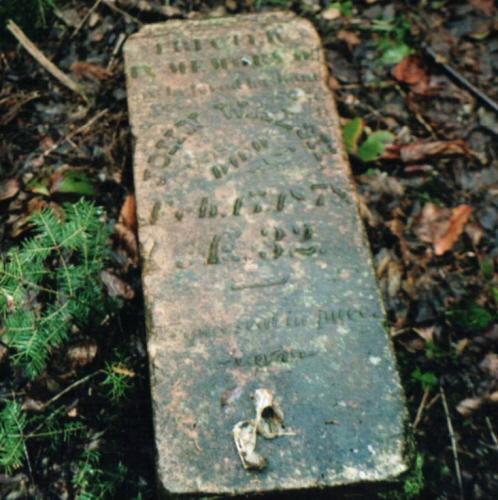 Showing stone of John Walsh