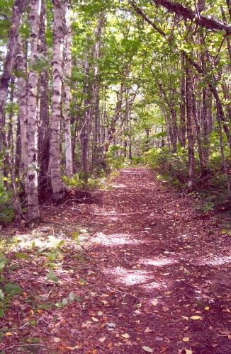Showing an unimproved section of the road