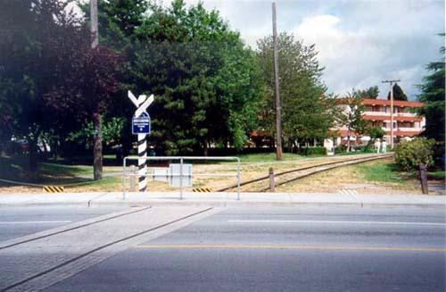 View from the south