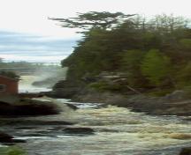 The Old Pine Tree is apparent in the upper portion of this photograph; Norma Stewart