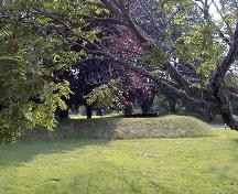 Fort Tipperary - cannon and grounds; PNB 2004