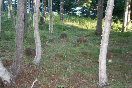 Showing sandstone markers among trees