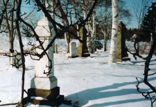 Showing overview of cemetery in winter