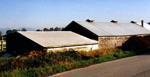 Oblique view
