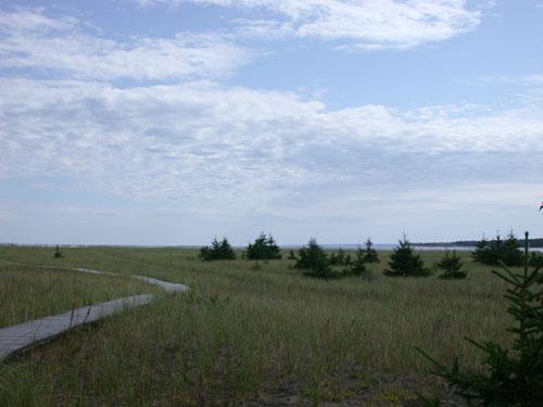 Unobstructed view of Chaleur Bay