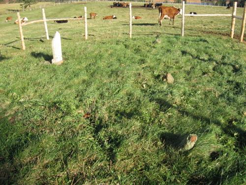 Showing single standing headstone and sandstones