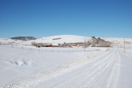 General view of site