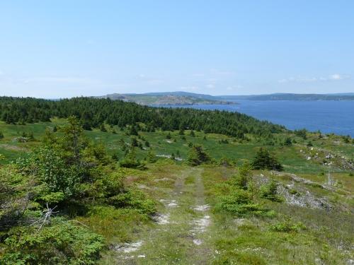 Hiking trail, Cupids, NL