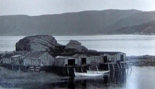 The Quidnock, Conche, NL