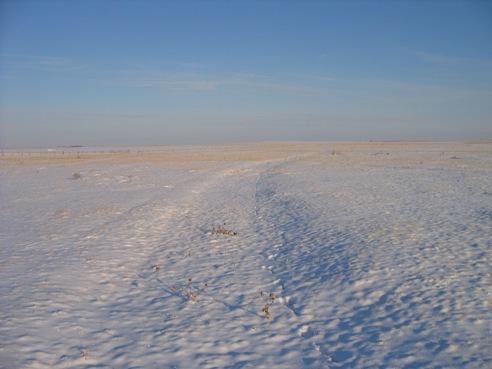 Remnant of Fort Macleod - Calgary Trail