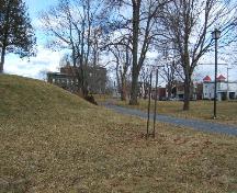 This photograph shows the contextual view of the park with Douglas Avenue buildings in the background, 2006; City of Saint John