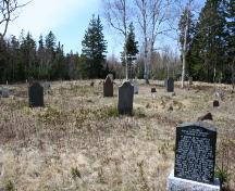 Overview of cemetery; Donna Collings, 2008