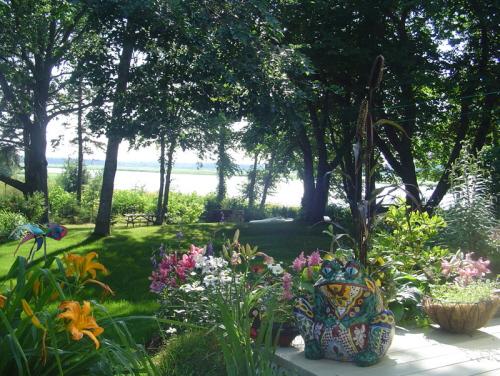 View of river from the backyard