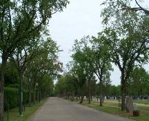 General view of Next of Kin Memorial Avenue, showing the mature trees on either side of the avenue, 2003.; Parks Canada Agency / Agence Parcs Canada, 2003.