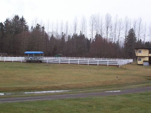 General view, 2009