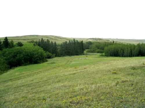 Site Area - View East