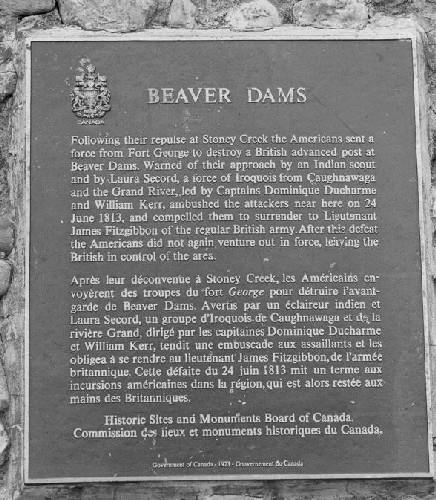 Vue générale