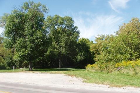 Stickwood Brickyard and Wetlands