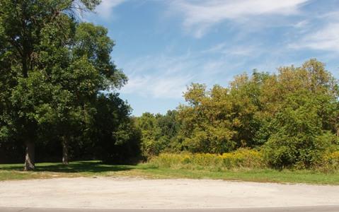 Stickwood Brickyard and Wetlands