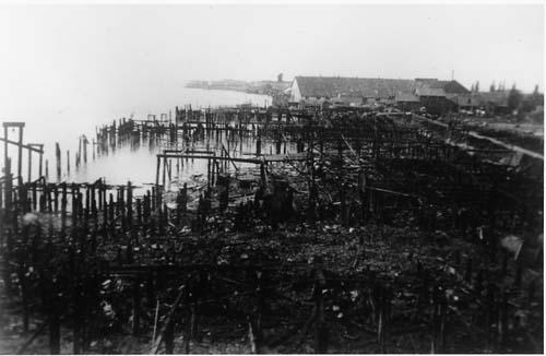 View looking west